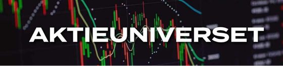 Holgersen bilsyn Aktieuniverset